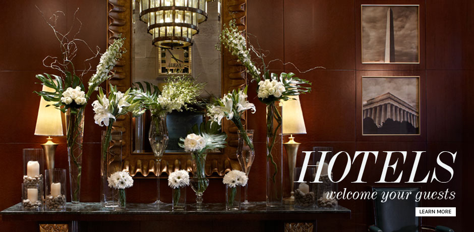 Sofitel 