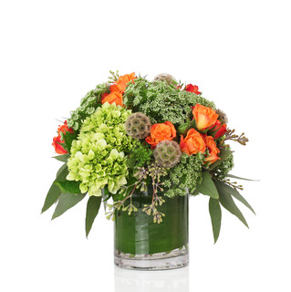 Designer's Choice - Signature