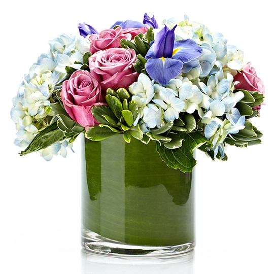 Tangled Hydrangea